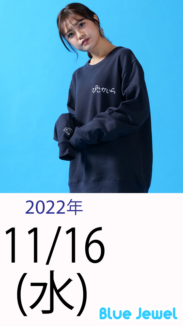 2022_11_16.jpg
