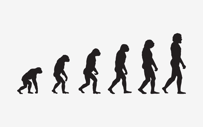 evolutie.jpg