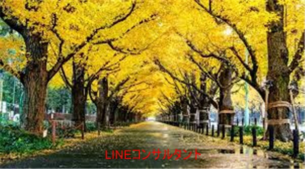 LINE コンサルタント・LINE 集客 拡散・ライン先生のWhat's New