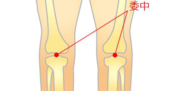 acupuncture_points_behind_the_knee_163.jpg