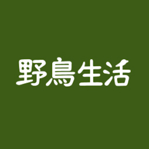 2022_クリスマス_野鳥生活_logo