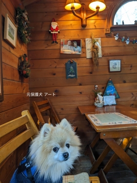 20221221群馬県嬬恋村、北軽井沢・ハイジと元保護犬（元収容犬）アート2