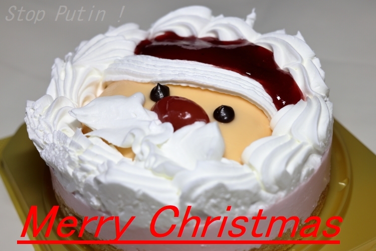 クリスマス　ケーキ2　SN
