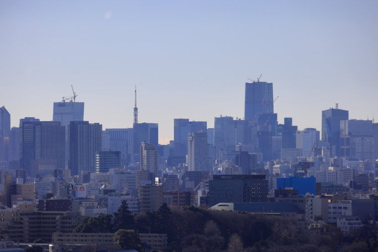 東京タワー方向SN