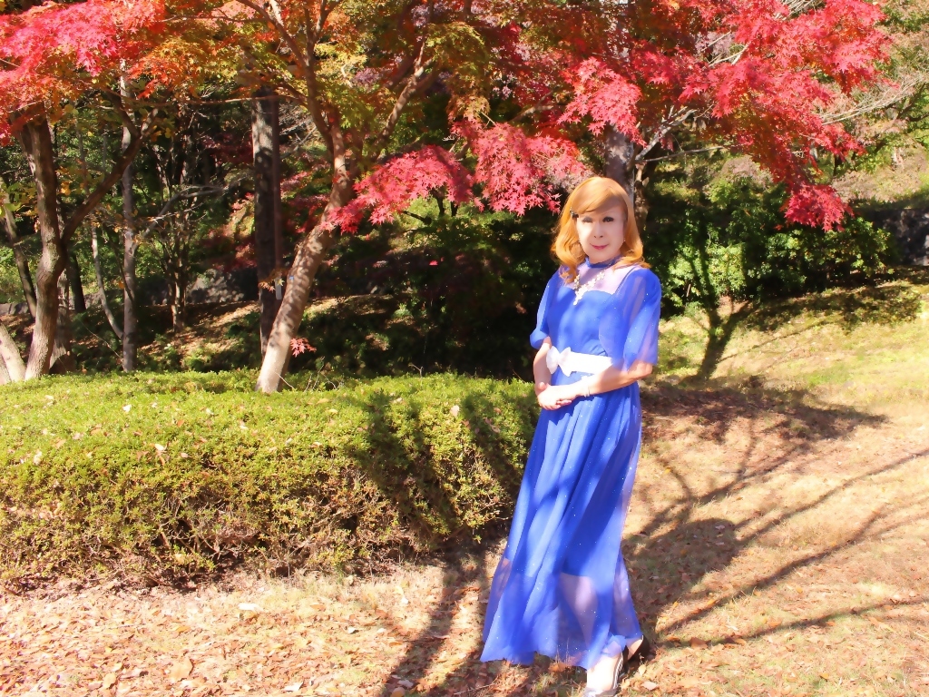 青色シフオンドレス秋景色C(5)