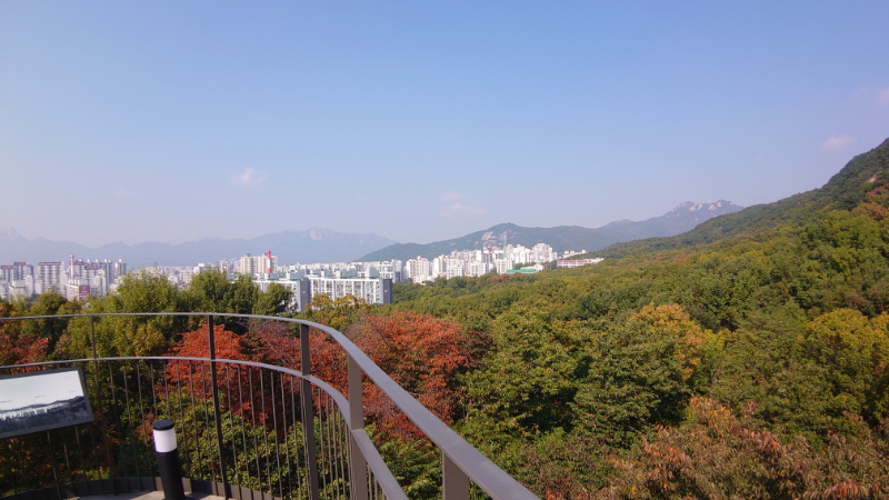 韓国,仏岩山蝶庭園 (33)
