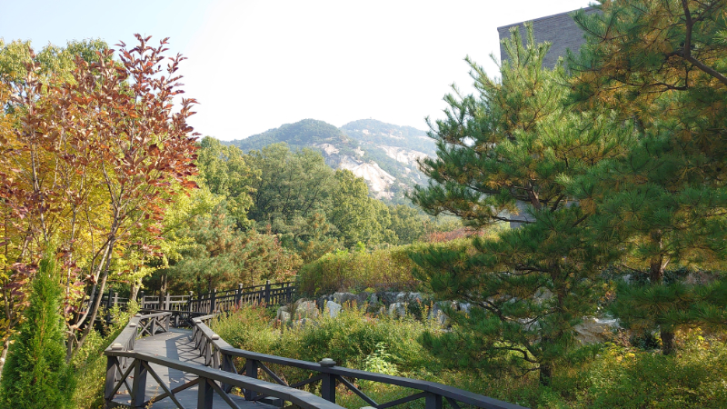 韓国,仏岩山蝶庭園 (11)