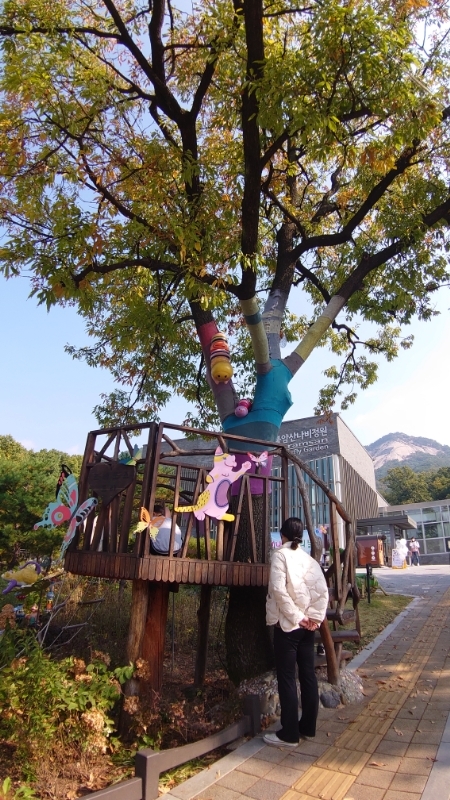 韓国,仏岩山蝶庭園 (43)