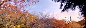 韓国,秋,観光