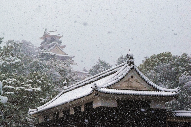 雪の高知城３web