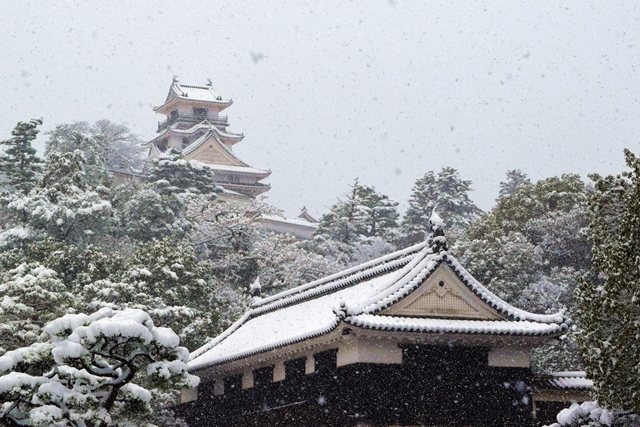雪の高知城１saidoweb