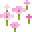 桜色の花びら_アイコン