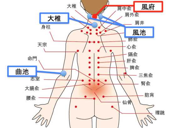 Whole_body_acupuncture_points_01111.jpg
