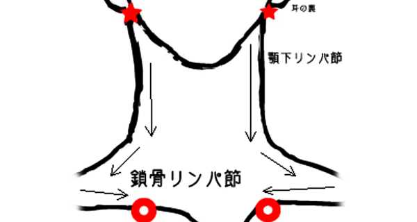 neck_lymphatic_massage_112.jpg