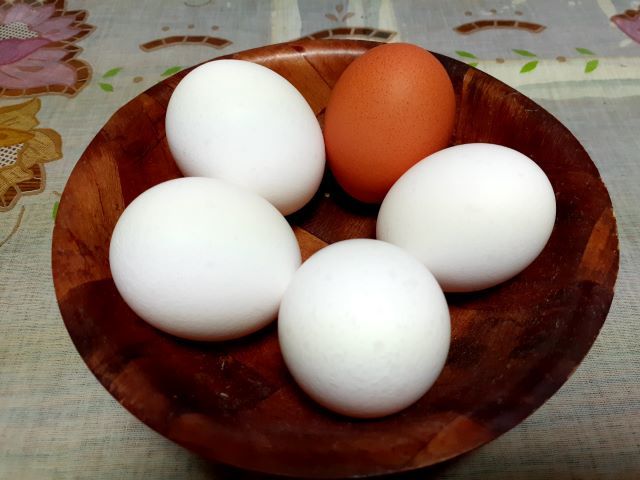 卵20230129-1(640×480)