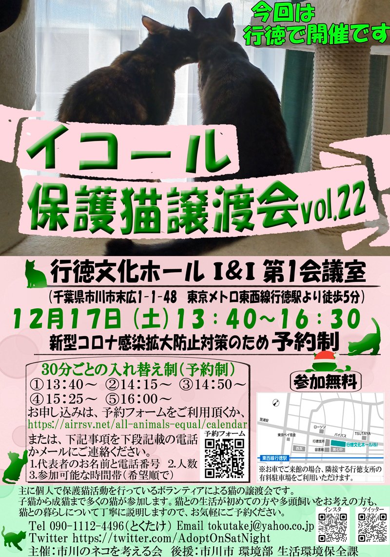 １２月１７日開催：イコール保護猫譲渡会（行徳文化ホール）参加のお知らせ
