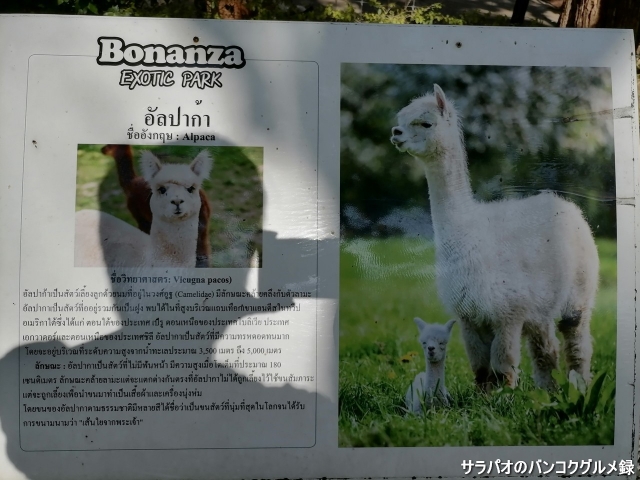 ボナンザ動物園 / Bonanza Exotic Park