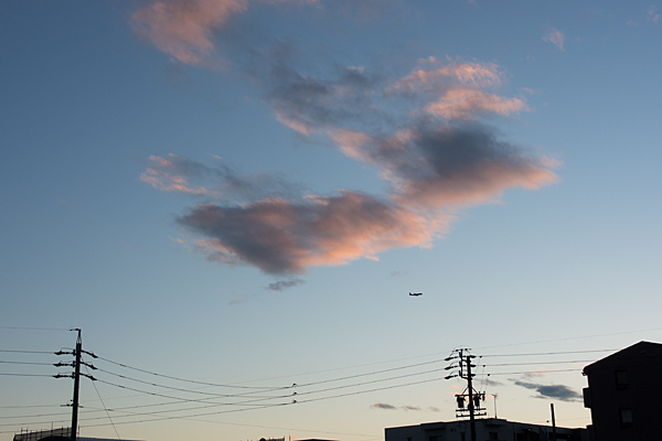 夕空と飛行機