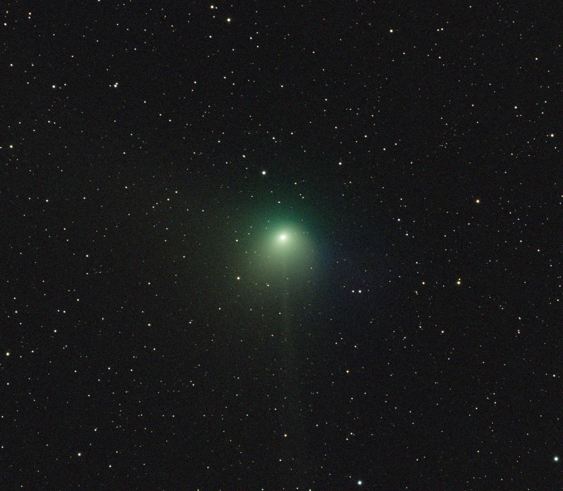 ZEF彗星 (2)