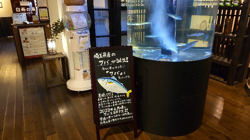 おふろcafe白寿の湯⑦埼玉県産のサバ2211