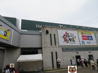 兵庫阪神甲子園球場
