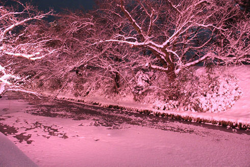 弘前公園冬のライトアップ2022-1