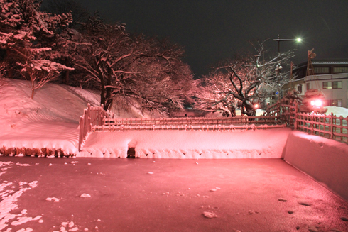 弘前公園冬のライトアップ2022-3