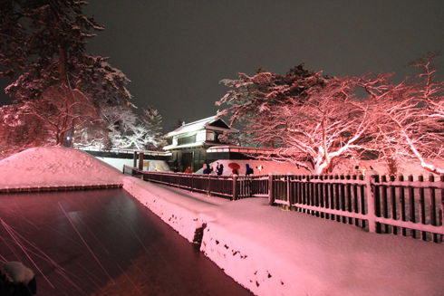 弘前公園冬のライトアップ2022-5