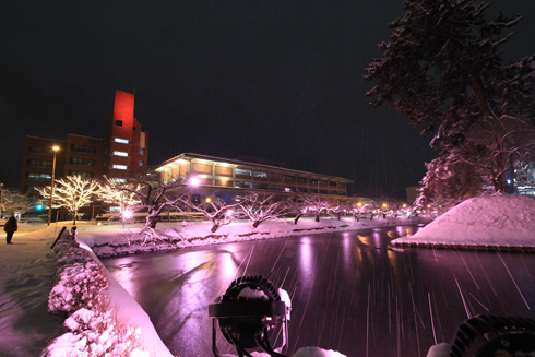 弘前公園冬のライトアップ2022-7