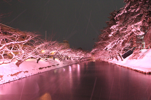 弘前公園冬のライトアップ2022-10