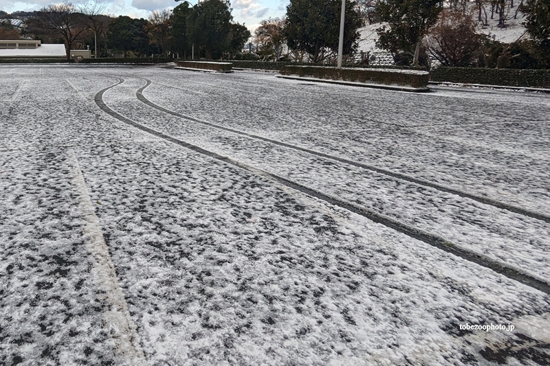 駐車場　（真冬、雪景色の愛媛県立とべ動物園　撮影2021年12月23日