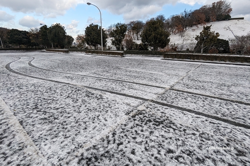 駐車場　（真冬、雪景色の愛媛県立とべ動物園　撮影2021年12月23日