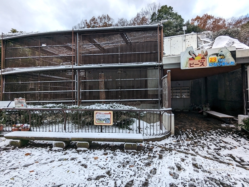 ホッキョクグマ舎　（真冬、雪景色の愛媛県立とべ動物園　撮影2022年12月23日）