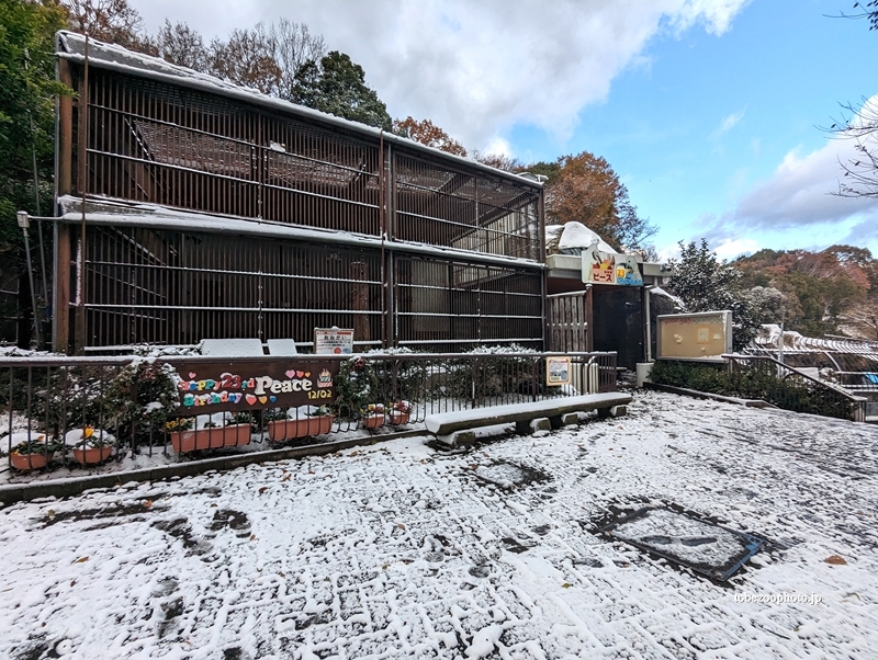 ホッキョクグマ舎　（真冬、雪景色の愛媛県立とべ動物園　撮影2022年12月23日）