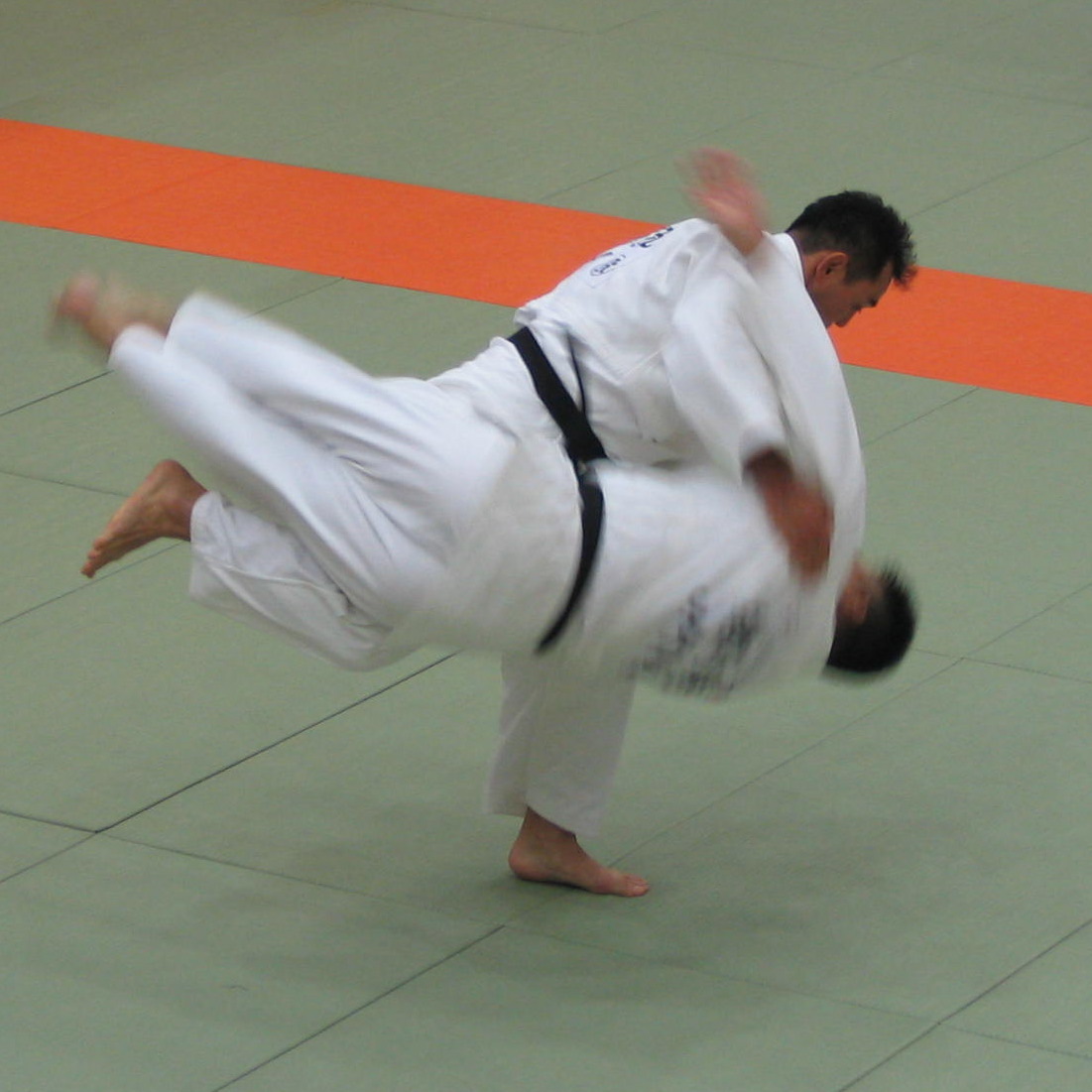 judo3.jpg